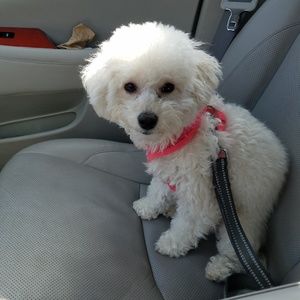 Meet your Posher, Miriam